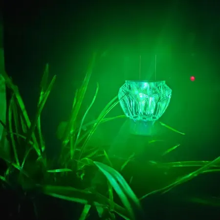 Quiet דירה מילנקו