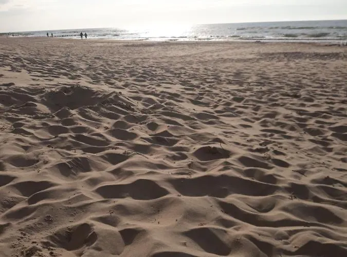 Cichy W Mielenku Mielenko