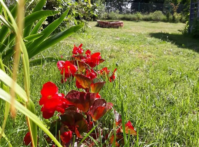 Apartamento Cichy Resort W Mielenku