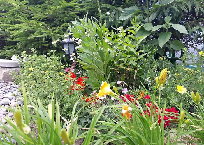 Apartamento Cichy Resort W Mielenku *