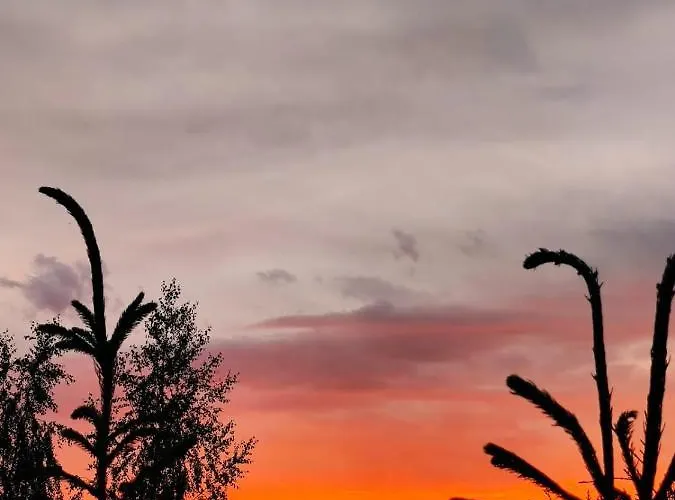 公寓 Cichy Resort W Mielenku *